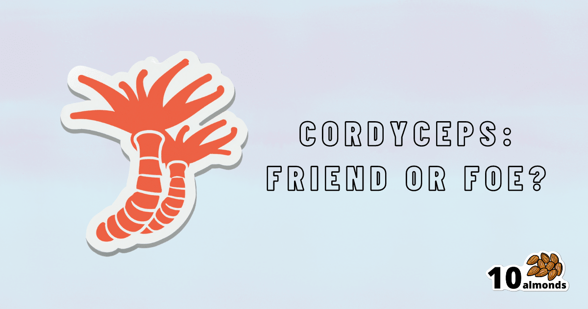 Cordyceps: Friend or Foe?