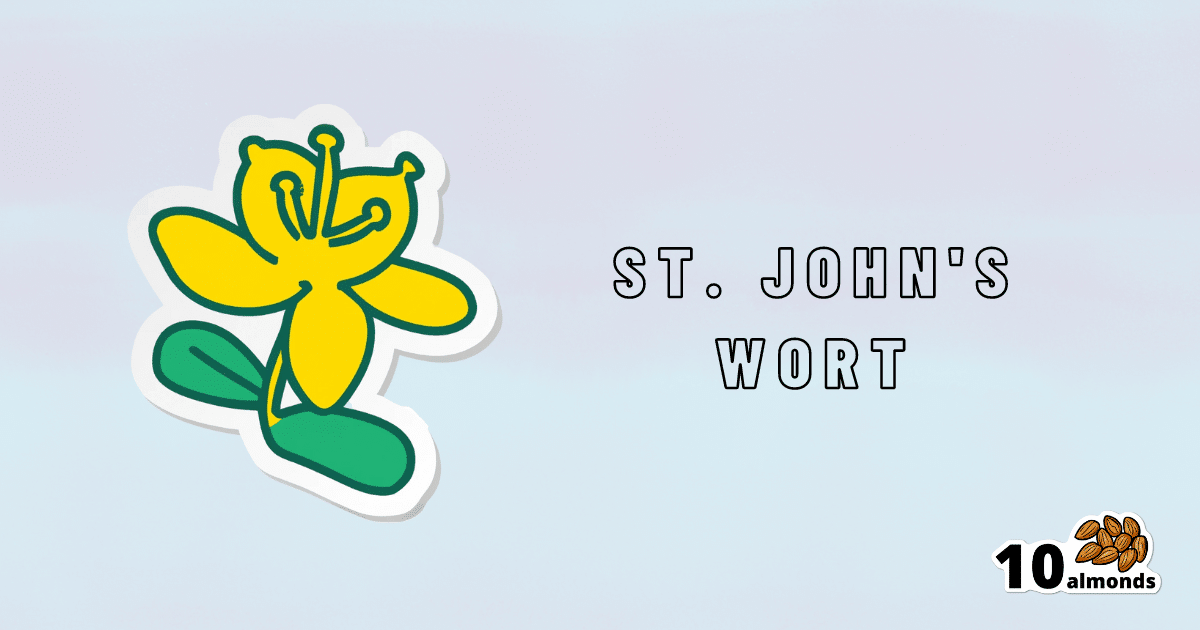A yellow flower known for its medicinal properties, including the words "St. John's Wort" written on it.