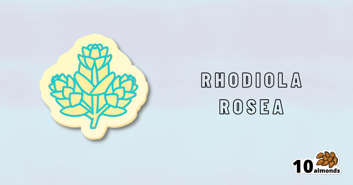 Rhodola rosa logo on a blue background representing its anti-stress properties.