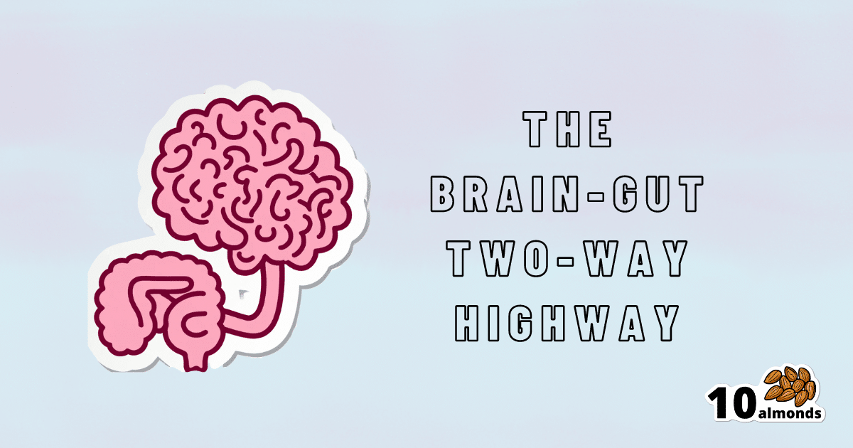 The brain-gut highway