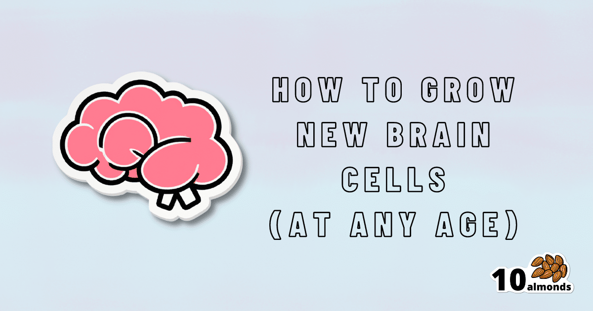 Learn how to stimulate the growth of new brain cells regardless of your age.