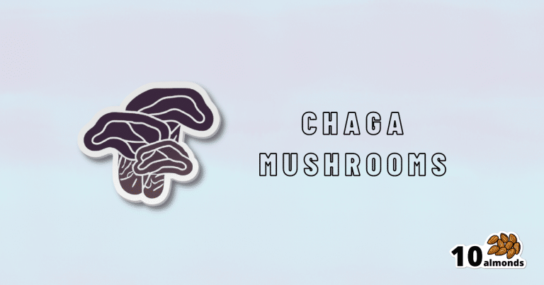 A sticker showcasing the immune-boosting and anticancer potential of chaga mushrooms.