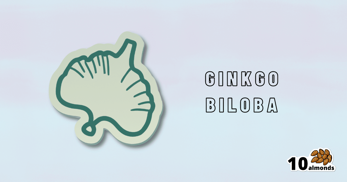 This ginkgo biloba sticker promotes memory and is perfect for SEO enthusiasts.