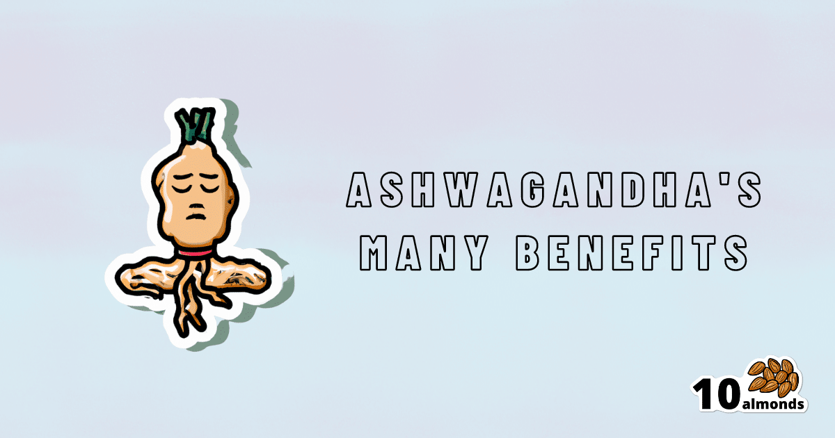 Ashwagandha, also known as Ashwagandha root, offers numerous benefits including promoting even-mindedness.