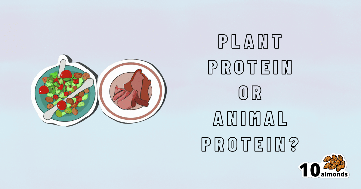 Choosing Between Plant Protein and Animal Protein