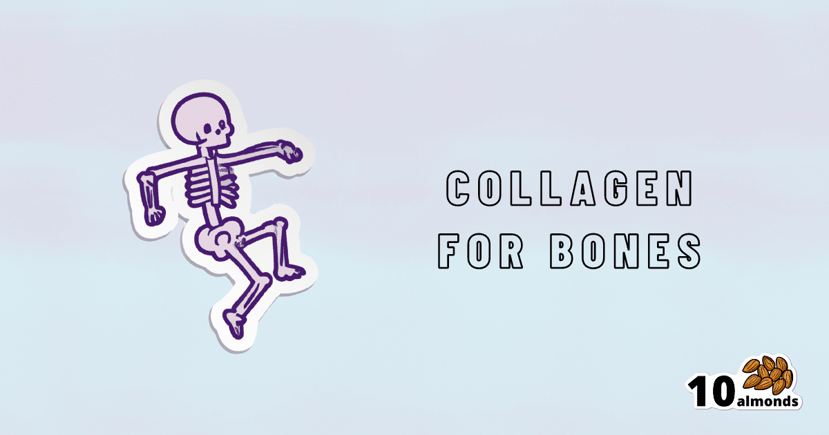     Important for bones: Collagen