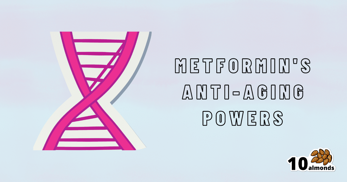 Metformin's remarkable ability to slow aging.