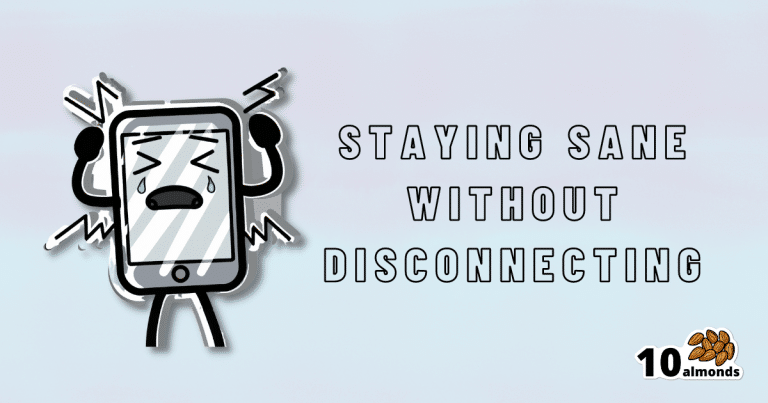 Staying sane in a hyper-connected world without disconnecting.