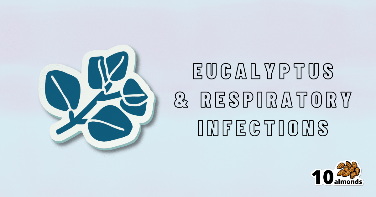 The immunomodulatory effects of inhaled eucalyptus can be beneficial in respiratory infections.