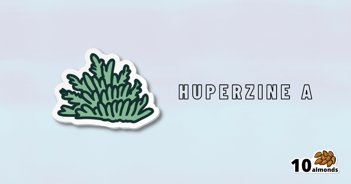A sticker featuring the word 'Huperzine A', a natural nootropic.