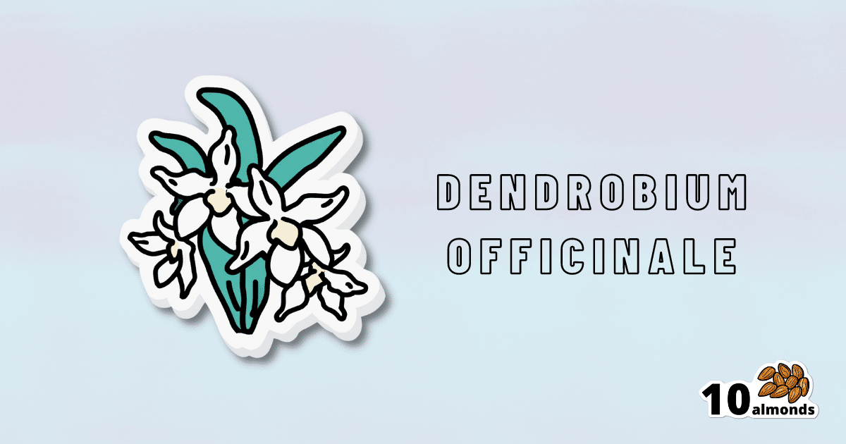 A gently designed sticker featuring an exquisite dendrobium orchid.