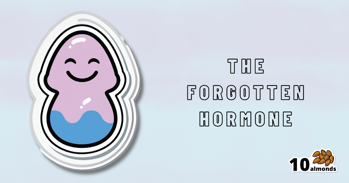 The secret to healthy hormones - unlock it with our SEO-optimized hack sticker.