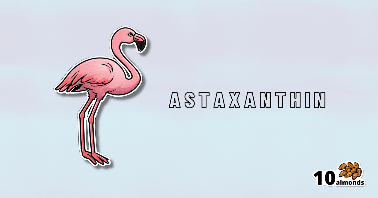 A pink flamingo adorned with the word Astaxanthin, a super-antioxidant and neuroprotectant.