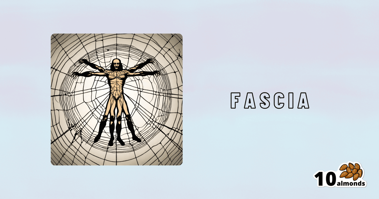 A tarot card depicting the word "fascia" and its significance in fixing ailments.