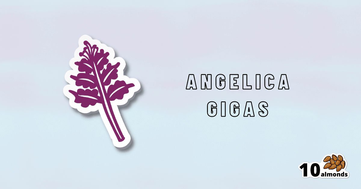 A sticker with the word angelica cicas on it, featuring Purple Parsnip.