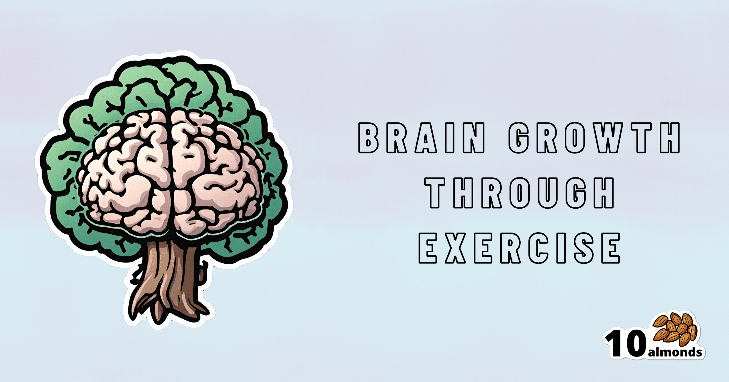 Brain growth can be achieved through regular walking exercise over a period of 3 months, resulting in significant brain benefits.