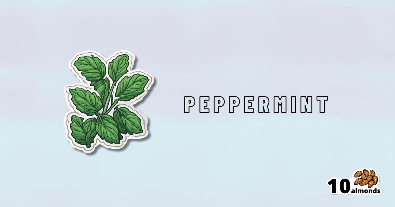 A useful sticker of a peppermint plant.