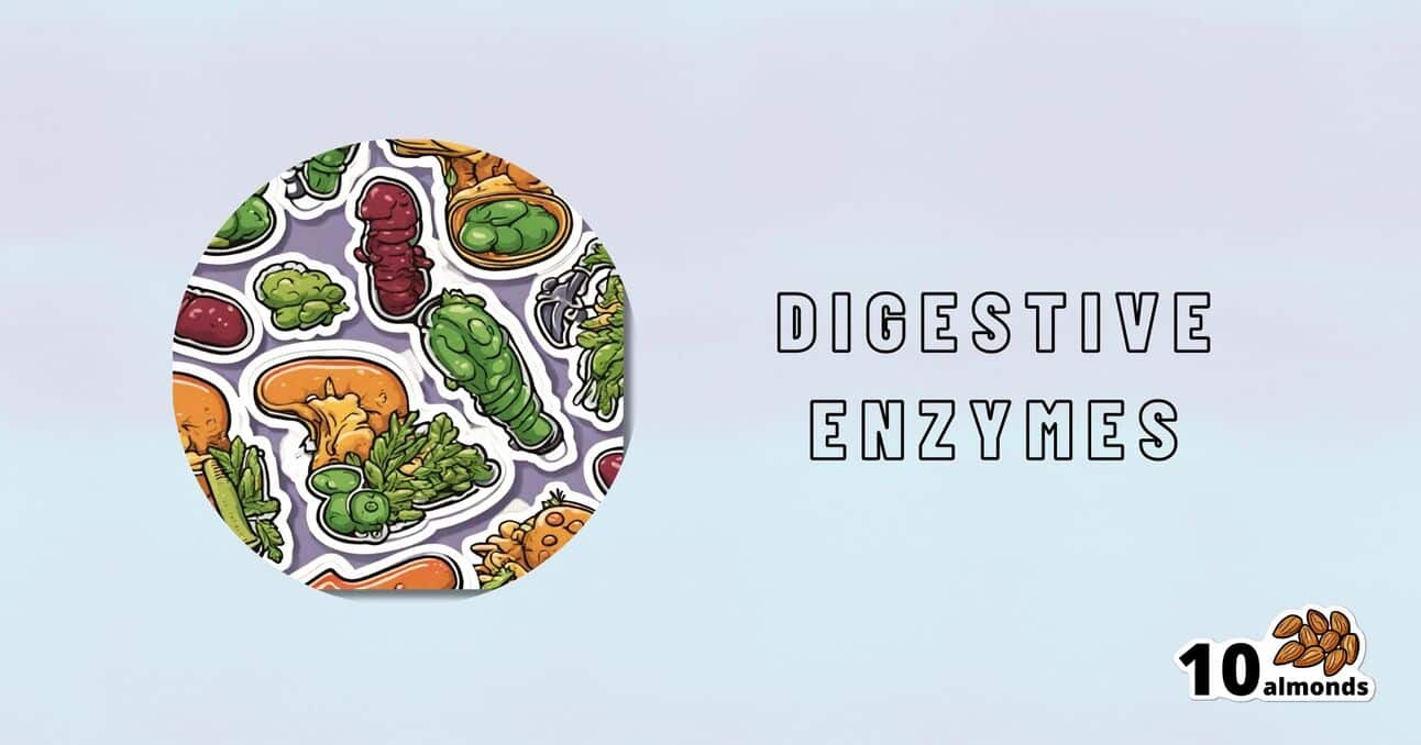         Illustrated digestive enzymes are shown inside a circular frame on the left against a light background. "BOOST DIGESTIVE ENZYMES" is written in bold, capital letters to the right. A small icon of 10 almonds is displayed in the bottom right corner.