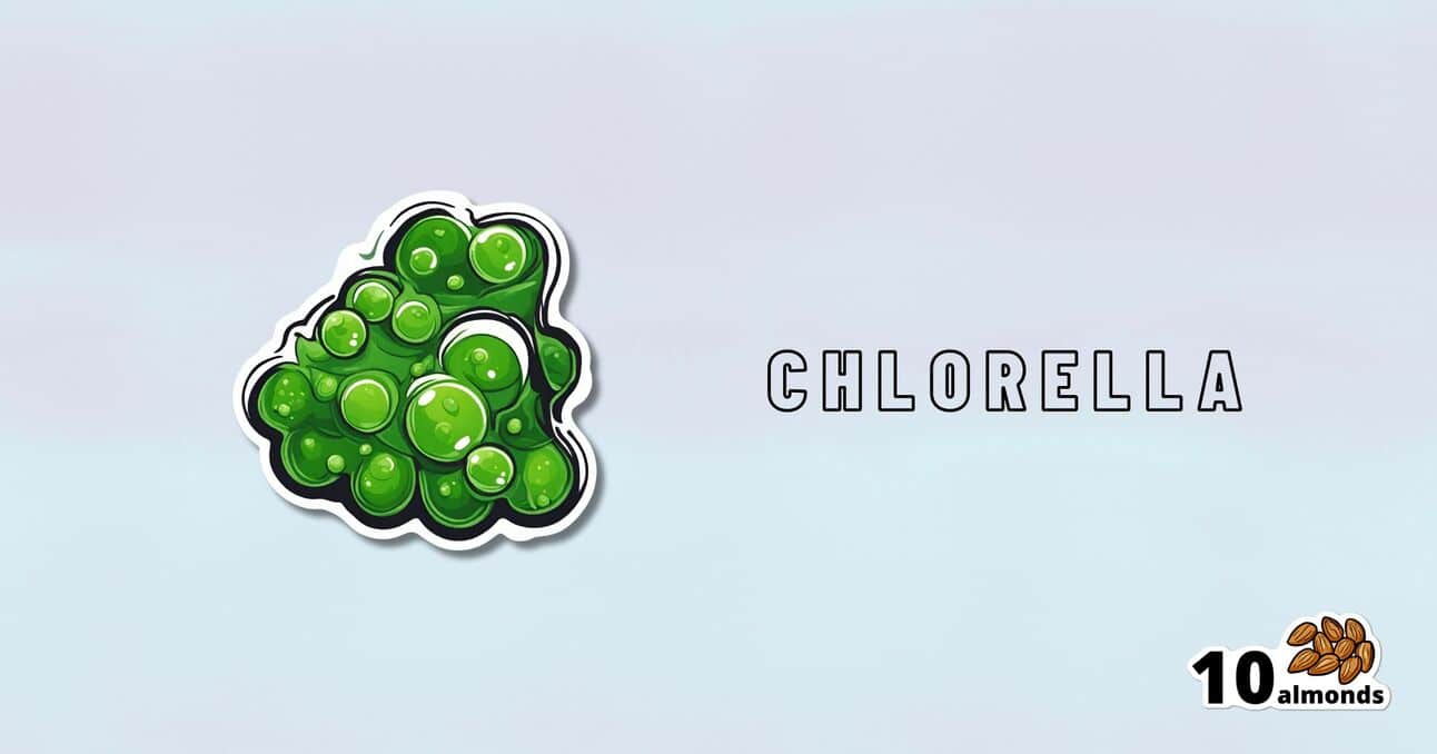An illustration of green chlorella cells on the left with the text "CHLORELLA - A Superfood" on the right. In the bottom right corner, there is an image of ten almonds with the text "10 almonds" below it.