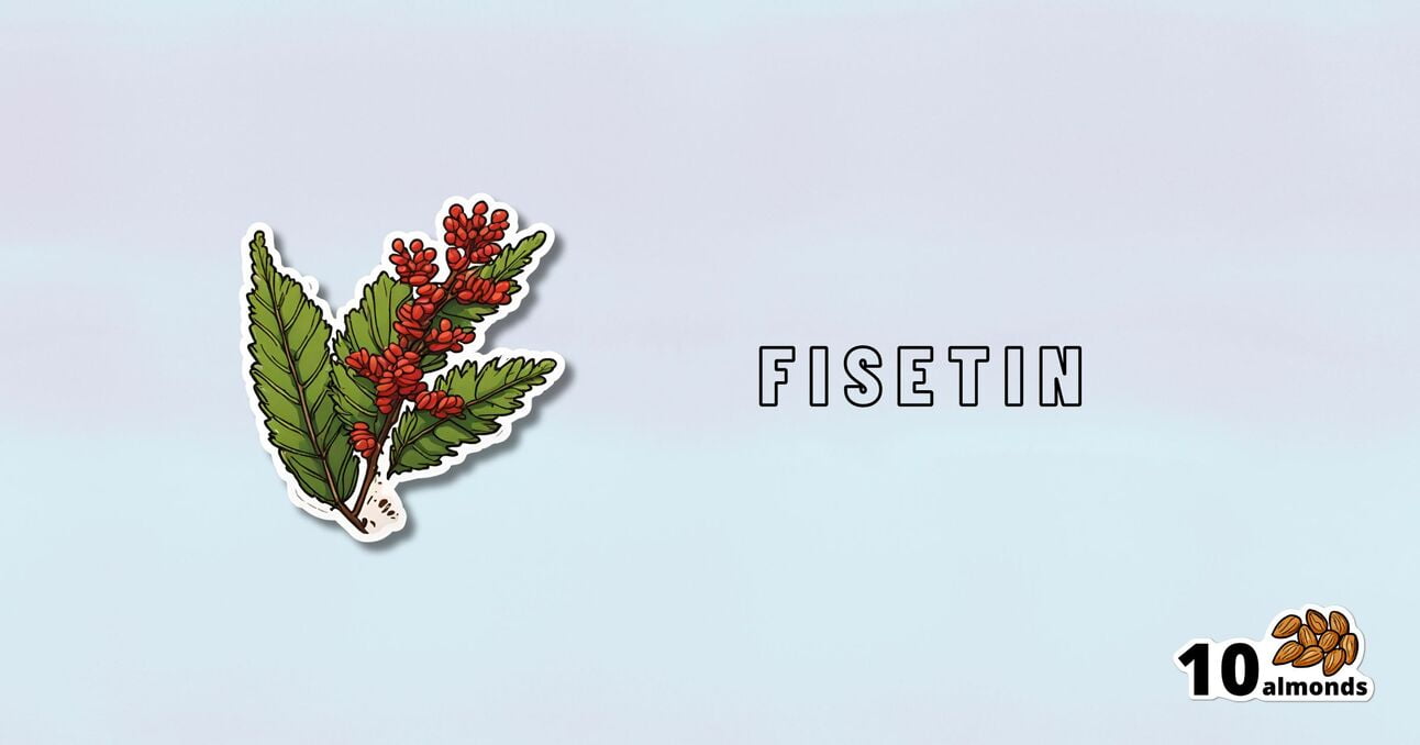 An illustration of the fisetin plant with red berries and green leaves, positioned on the left side. The word "FISETIN" is centered on the right side. A small image of ten almonds and the text "10 almonds" is in the bottom right corner, highlighting their anti-aging benefits.