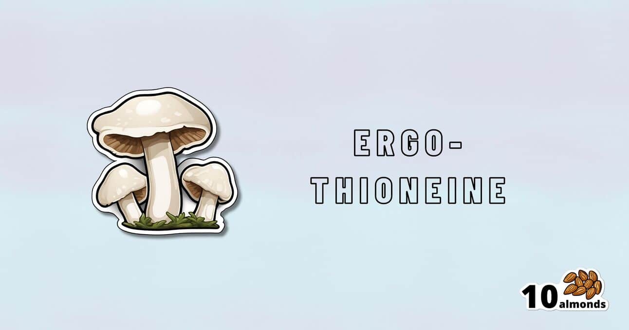 Digital illustration of three white mushrooms with the text "ERGO-THIONEINE" in capital letters. At the bottom right, there is an image of 10 almonds. The background, a light blue gradient, subtly hints at longevity and wellness.