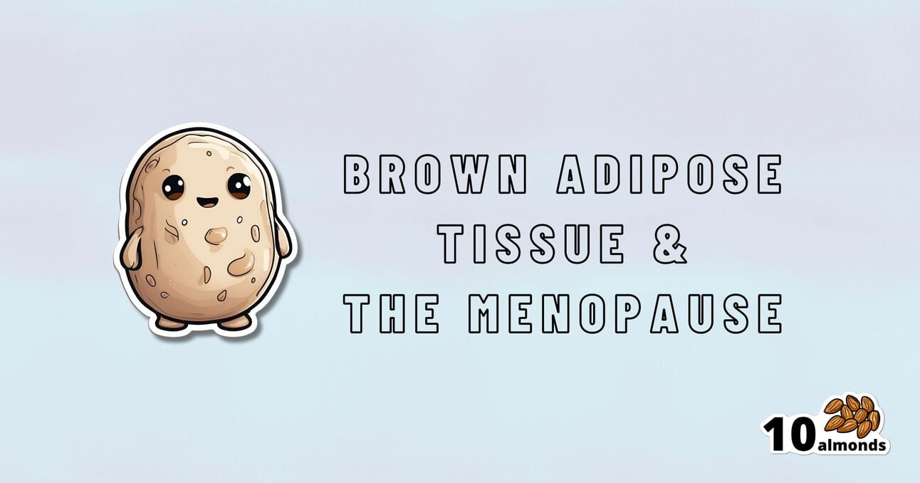 The image features an illustrated, smiling potato-like character next to the text "Brown Adipose Tissue & The Menopause." In the bottom right corner, there is a small logo with "10 almonds" and an icon of almonds. The background is a plain light blue, subtly highlighting the new BAT product.