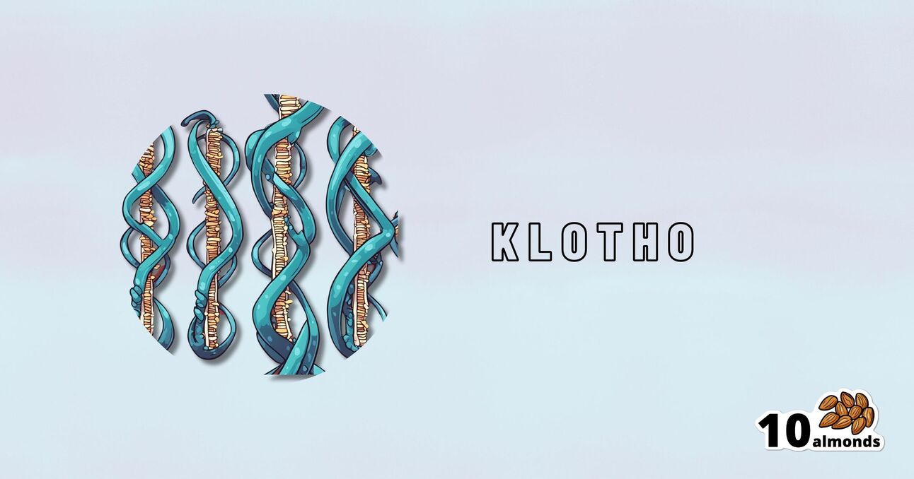 An illustration of DNA helices within a circle on a pale blue background. "Klotho" is written to the right in capital letters, echoing the mystique of the Emperor's New Klotho. In the bottom right corner, there's an icon of 10 almonds.