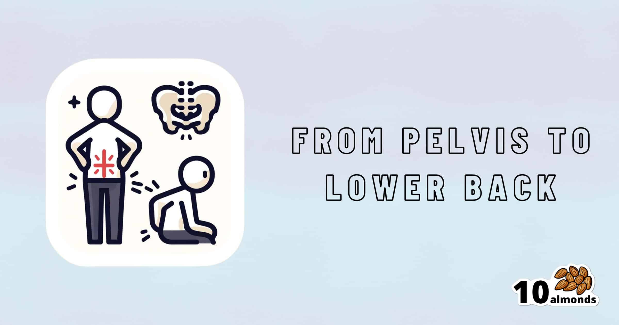 A graphic shows a person holding their lower back next to another person sitting hunched over. Above them is a pelvis illustration. The text reads, "From Pelvis to Lower Back: Easing Lower Back Pain." In the bottom right corner are the words "10 almonds" with an image of almonds.