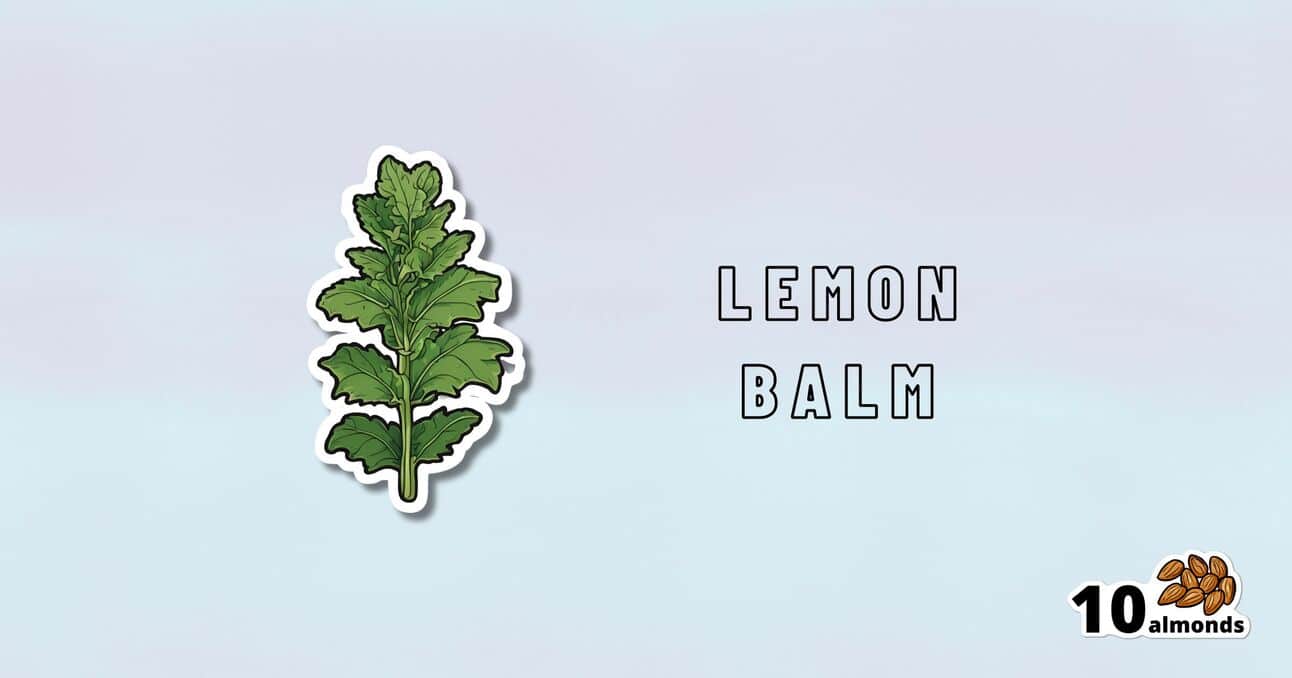 Illustration of a green lemon balm plant with the text "LEMON BALM" to the right of it, known for its stress relief benefits, and "10 almonds" with an image of almonds in the bottom right corner. The background is a gradient shade of light blue.