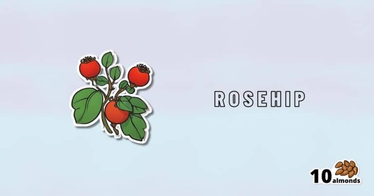Rosehip’s Benefits, Inside & Out