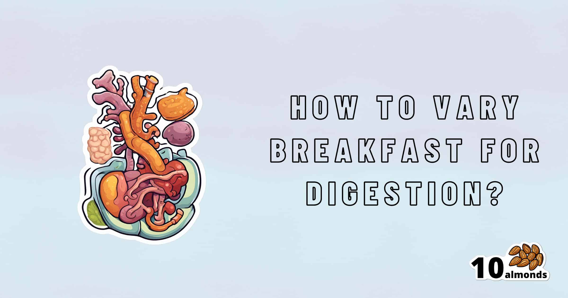 An illustration of the human digestive system is on the left. On the right, text reads "How to vary breakfast for digestion?" In the bottom right corner is an icon of 10 almonds. The background is light blue.